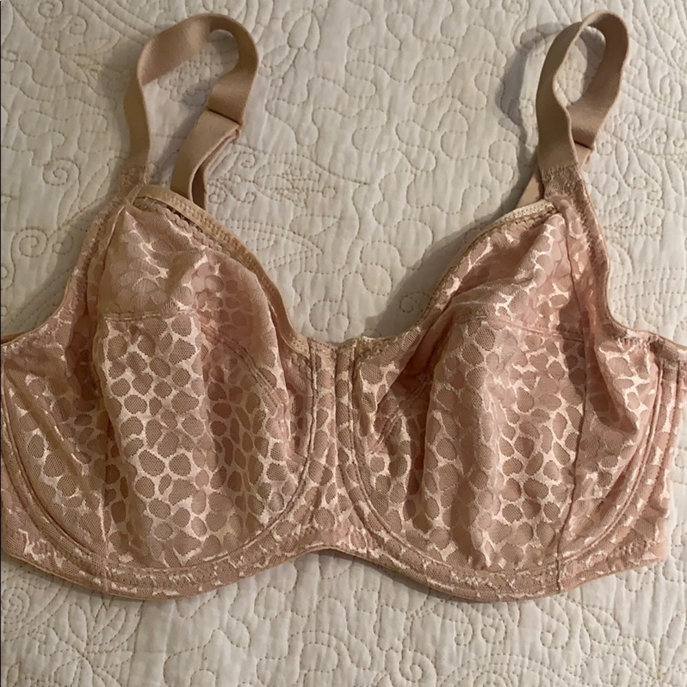 Wacoal bra 32DDD